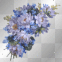 flower  background dubravka