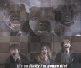 Harry Potter and the Philosopher Stone