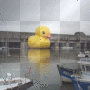 canard