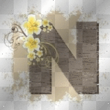 vintage letter n