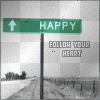 Follow Your Heart