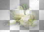 LATO SUMMER TRANSPARENT   FLOWER GREEN