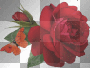 red butterfly rose flower glitter ²u