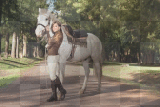Brenda-cavallo