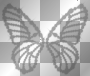 Nenaio Gif Png Transparent Butterfly Butterflies deco frame border corner background vintage  grey shadow