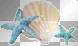 sea things