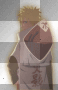 Naruto Hokage