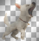 BOLT Super Bark 1 - Transparent
