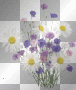 wild summer flowers bouquet white blue ²u