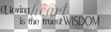 Word art,©Ƹ̵̡Ӝ̵̨̄Ʒ...ዠippվርዠiርk33