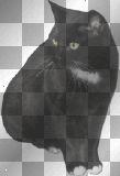 Kerstie: Cat