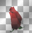 red rose flower summer animated ²u