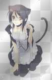 misa- chan cat 