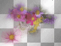CORA FLOWER SUMMER