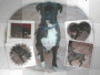 Collage de Mi Perrito - Batman