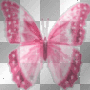 pink butterfly 2
