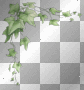 Flower flowers plant plants Flower flowers plant plants