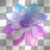 Rainbow Flower - TracyMcGibbon