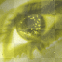 Eye Background  (Yellow)
