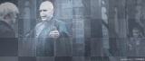 Draco Malfoy (Tom Felton) & Lord Voldemort (Ralph Fiennes) in Harry Potter and the deathly hallows part 2 x333