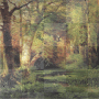 forest backround animated