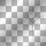 black tree