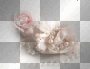 deco||♥♥anna25marco♥♥|| deco||♥♥anna25marco♥♥||