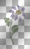 decoraciones rossi_61
