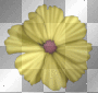 flower yellow scrap deco transparent [1ֆ]