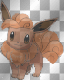 Evoli or Vulpix?