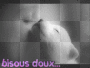 Bisous doux -Câlin bébé et chiot_²u