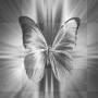 animated black silver butterfly groovy