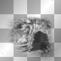 mejserr tree bg black & white version mejserr tree bg black & white version