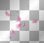 Deco pink 