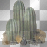 Cactus Loaded by KarenR