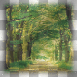 forest natural background ©zαηєѕѕα155ⓡ