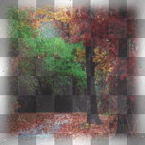 forest natural background ©zαηєѕѕα155ⓡ