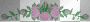 Flowers winona100 