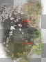 landscape - by CinthiaKR13 landscape - by CinthiaKR13