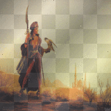 woman warrior , hawk
