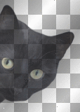 FANTASY VINTAGE GOTHIC HALLOWEEN CAT BLACK