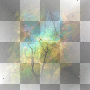 background,boutique,autumn