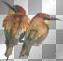 birs - by CinthiaKR13