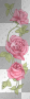 ✿pink rose flowers bubbles border frame glitter ²u