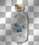 Blue fish bottle fantasy 
