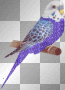 bird<Yv>