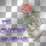 cat<Yv>