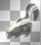 Skunk