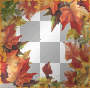 FRAME FALL AUTUMN FRAME FALL AUTUMN