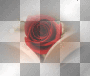 rose ||♥♥anna25marco♥♥|| rose ||♥♥anna25marco♥♥||